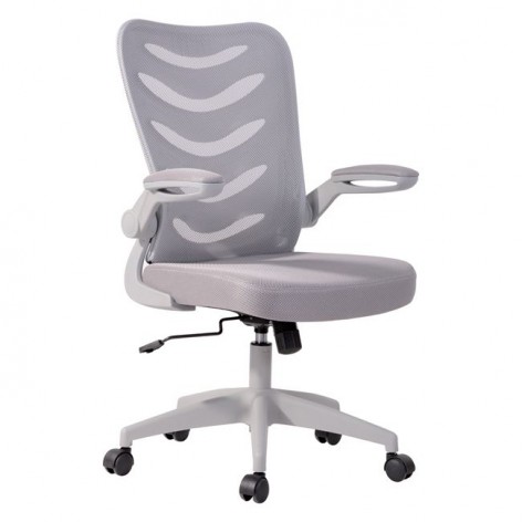 Καρέκλα γραφείου σε χρώμα γκρι Woodwell EO602,2 