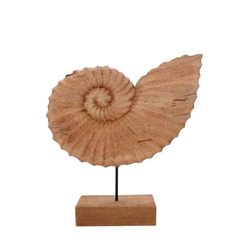 MR.SHELL DECO ΚΟΧΥΛΙ ΞΥΛΟ ΦΥΣΙΚΟ 49,5x9xH53,5cm In The Box 5208019030123 