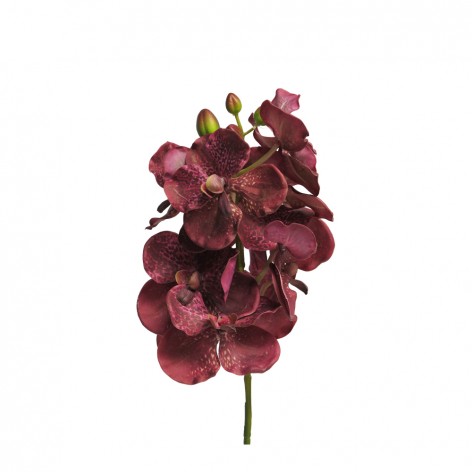 PHALAENOPSIS ΤΕΧΝΗΤΟ ΚΛΑΔΙ ΟΡΧΙΔΕΑ ΜΠΟΡΝΤΩ H73cm In The Box 8505451299734 