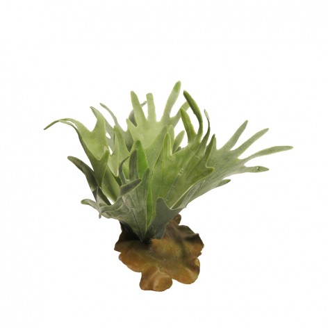 PLATYCERIUM ΤΕΧΝΗΤΟ ΦΥΤΟ ΠΡΑΣΙΝΟ H31cm In The Box 8505455144016 