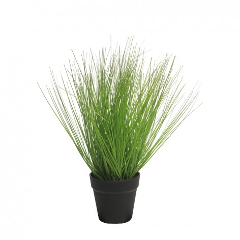 VIRGA ΤΕΧΝΗΤΟ ΠΡΑΣΙΝΑΔΑ ΣΕ ΓΛΑΣΤΡΑ H50cm In The Box 8505455158617 