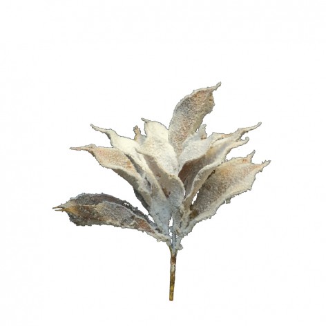 MAGNOLIA ΤΕΧΝΗΤΟ ΧΙΟΝΙΣΜΕΝΟ ΦΥΛΛΟ ΚΑΦΕ H38cm In The Box 8505458855889 