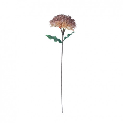 DEBU 2 ARTIFICIAL FLOWER EVA FOAM SOMON BEIGE H84c In The Box 5208019078804 