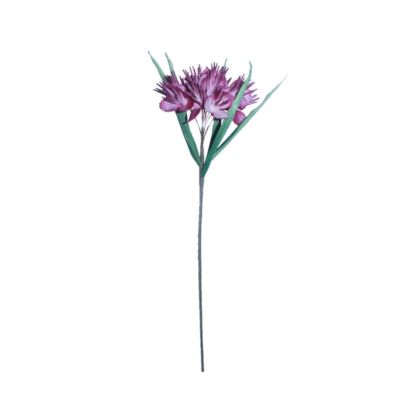 GULAB 4 ΤΕΧΝΗΤΟ ΛΟΥΛΟΥΔΙ EVA FOAM ΦΟΥΞΙΑ H78cm In The Box 5208019079030 